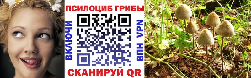 Псилоцибиновые грибы прущие грибы  Донской 